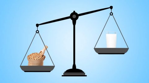 أطعمة تحتوي على نسبة من الكالسيوم أعلى من الحليب