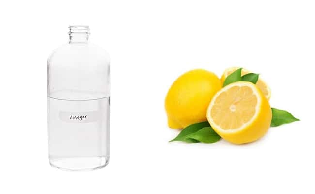 الخل والليمون