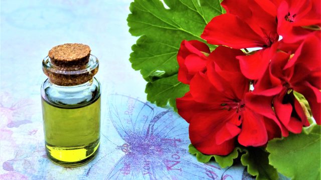 تعرفي على الفوائد الجمالية لزيت إبرة الراعي