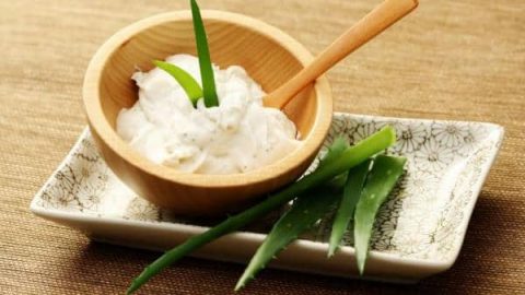 أقنعة الألوفيرا للعناية بالبشرة