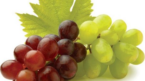 قناع العنب لشد المناطق المحيطة بالعينين