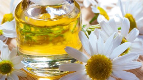 قناع البابونج للتخلص من الرؤوس السوداء