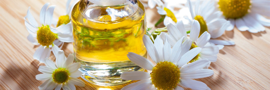 قناع البابونج للتخلص من الرؤوس السوداء