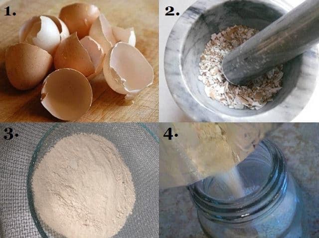 فوائد قشر البيض