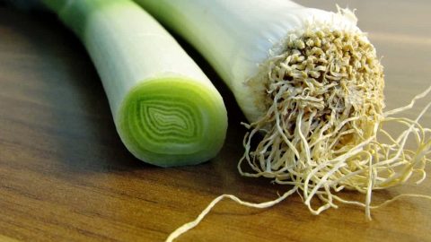 تعرفي على فوائد الكراث للمناعة والعظام