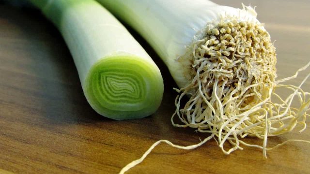 تعرفي على فوائد الكراث للمناعة والعظام