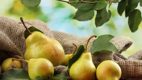 تناولي هذه الثمار الربيعية للحصول على جسم أكثر جمالا