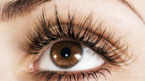 وصفات فعالة لتكثيف وإطالة الرموش