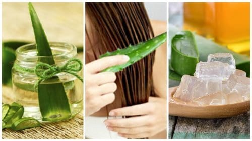 5-traitements-a-l-aloe-vera-pour-renforcer-vos-cheveux-500x281