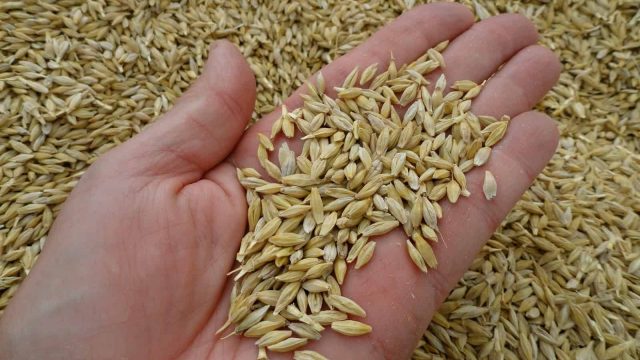 إليك الوصفة الفعالة لإزالة الدهون ونحت الجسم