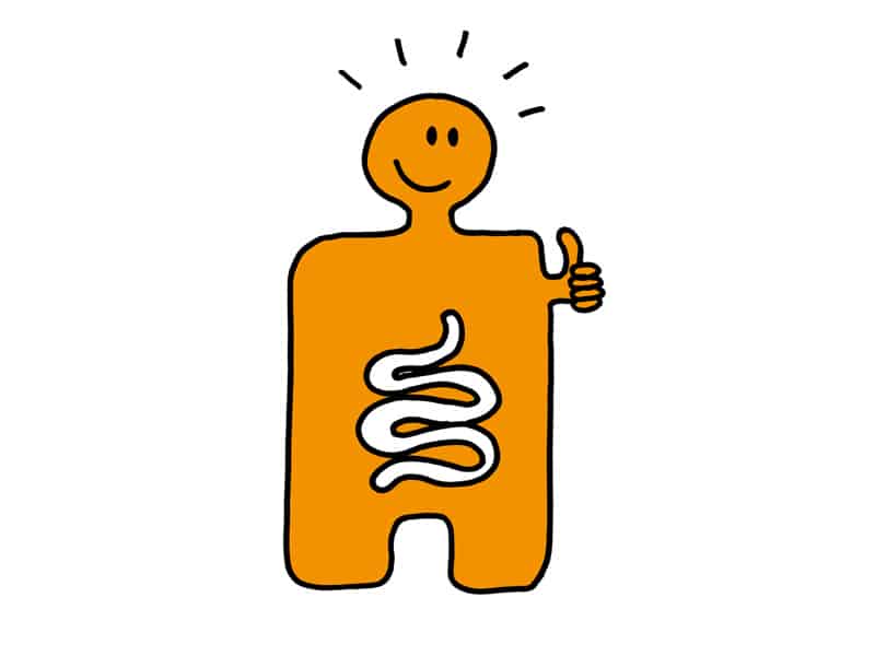 Gesund-Beschwingt_-Logo-Button-Darmgesundheit-800x600-large