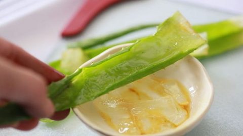 علاجات الألوة فيرا لتعزيز كثافة الشعر