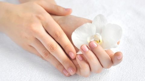 اكتشفي أفضل الوصفات الطبيعية للتخلص من جفاف اليدين