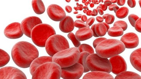 علاجات طبيعية لزيادة خلايا الدم الحمراء