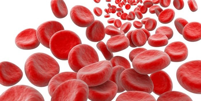 علاجات طبيعية لزيادة خلايا الدم الحمراء