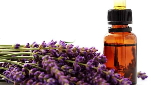 أهم فوائد واستخدامات زيت اللافندر
