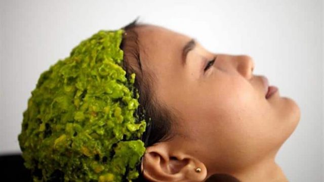 الأفوكادو يعيد المظهر الحيوي والصحي للشعر