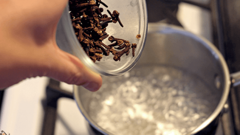 أعشاب طبيعية للعناية بصحة الشعر وجماله