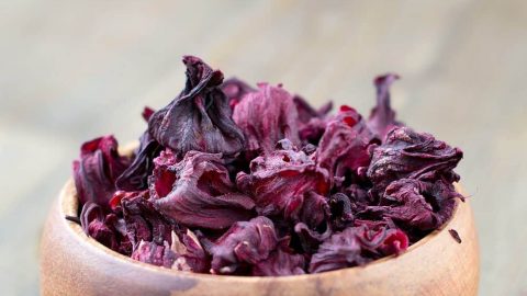 الكركديه.. الحل الأمثل لمعالجة جميع مشاكل الشعر