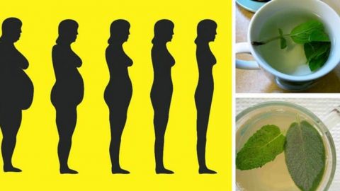 تعرفي على أفضل الأعشاب لحرق الدهون