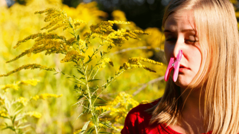 حساسية الربيع.. أسبابها ونصائح للتغلب عليها
