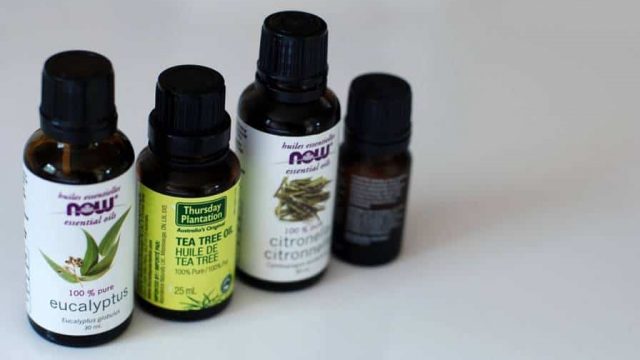 زيت الكافور وعلاجه لحب الشباب