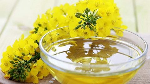 اكتشفي الفوائد الجمالية لزيت الكانولا