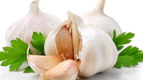 تعرفي على فوائد الثوم على الصحة