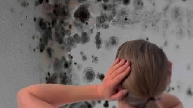 كيف نتخلص من العفن العالق بالجدران؟