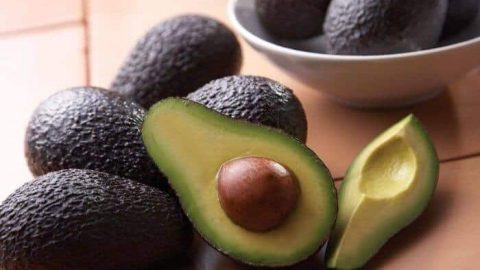 تعرفي على فوائد الأفوكادو للبشرة