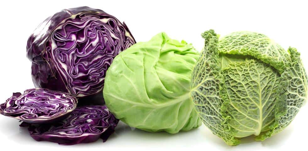 فوائد الملفوف و دوره في وقاية الجسم من الأمراض