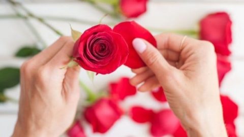 جربي خلطات الزهور لجمال بلمسة الطبيعة