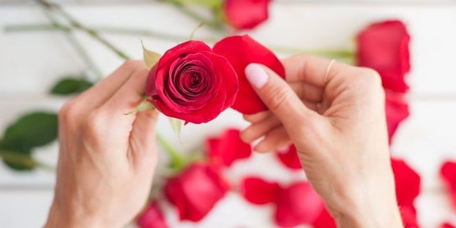 جربي خلطات الزهور لجمال بلمسة الطبيعة