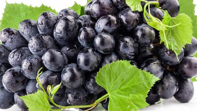 قناع العنب لمقاومة الأكسدة