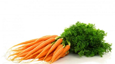 الجزر يقوي النظر كذبة لطالما كررناها