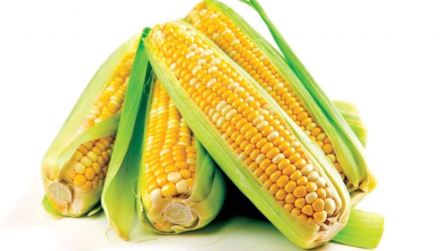 صنف من الخضار يسبب زيادة الوزن