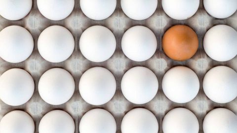 كيف تميزين البيض الجيد من الرديء خلال شهر رمضان؟