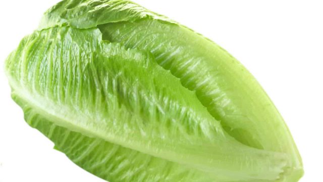 فوائد الخس في شهر رمضان