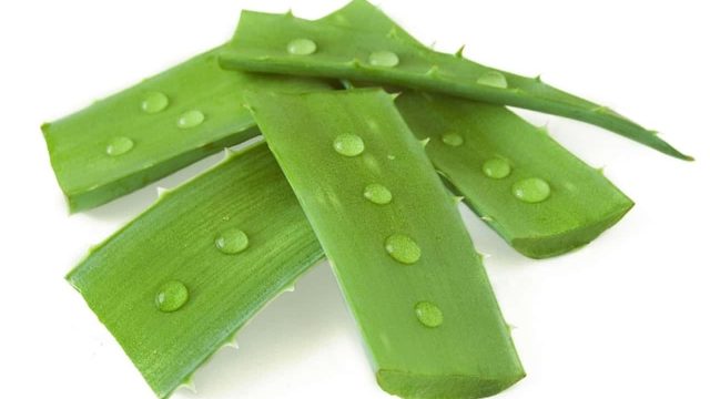 كيف تعدين خلطة الصبار للشعر؟