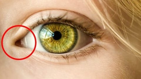 أسرار لا تعرفيها عن العيون