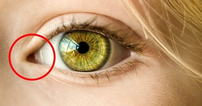 أسرار لا تعرفيها عن العيون