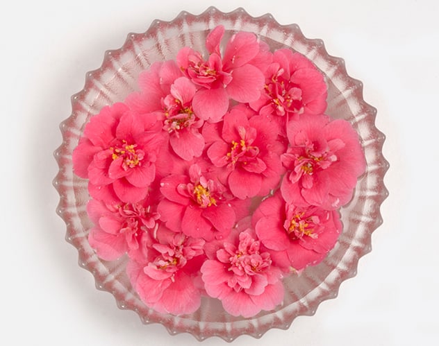 اكتشفي الاستخدامات الجمالية لزيت زهرة الكاميليا