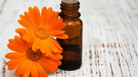 جربي زيت زهرة القطيفة لمحاربة تجاعيد البشرة