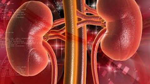 نصائح بسيطة للحفاظ على صحة كليتك