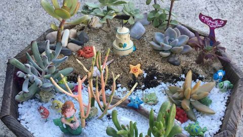 كيف تصنعين حديقة حورية البحر في بيتك