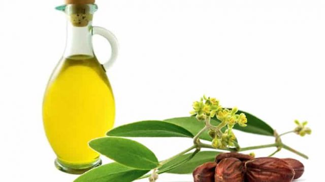 استعملي زيت الجوجوبا لتتخلصي من مشاكل البشرة