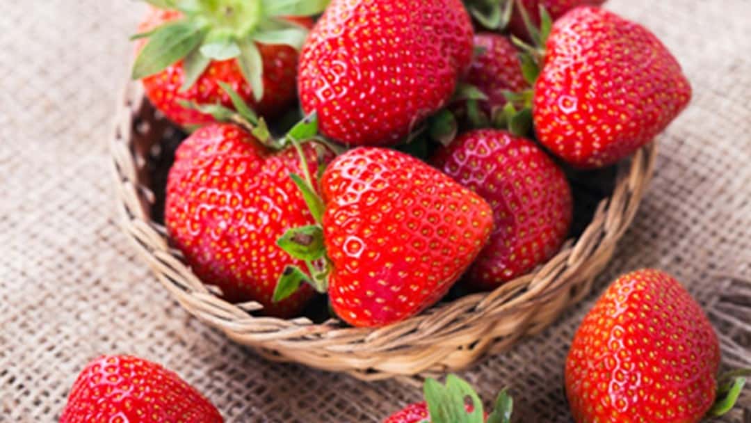 Paris-Sous-Les-Fraises-Galeries-Lafayette
