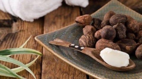 تعرفي على استخدامات زبدة الشيا في التخلص من مشاكل البشرة