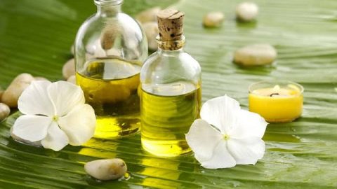 اكتشفي أفضل أنواع الزيوت الطبيعية للعناية بالبشرة