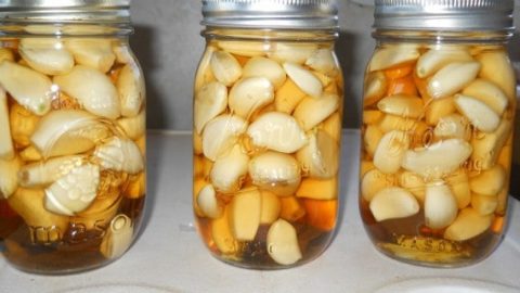 فوائد مذهلة لتناول الثوم والعسل على الريق